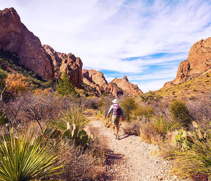 Big Bend National Park - Texas Desert Plaines