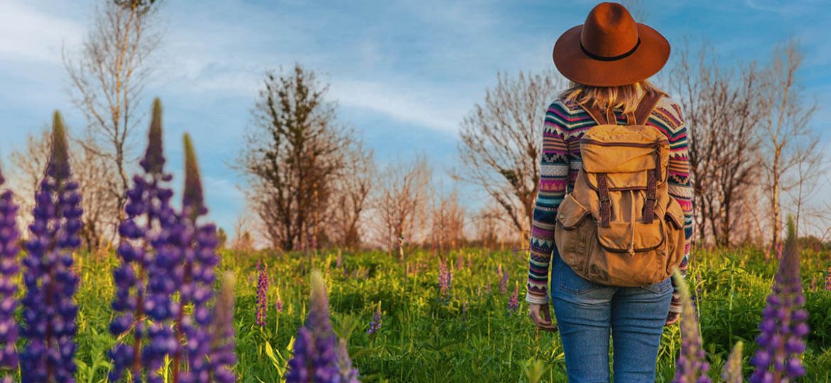 An RV Guide to Texas Wildflowers and Wildlife.