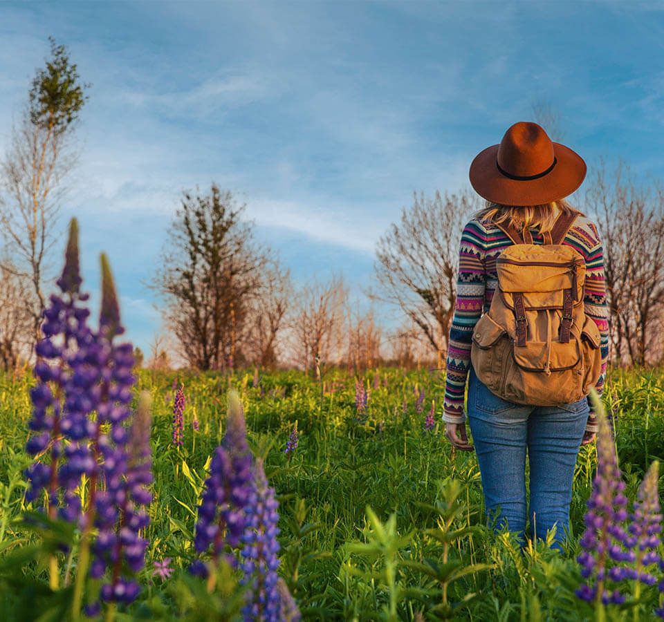 An RV Guide to Texas Wildflowers and Wildlife.